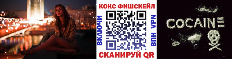 Cocaine FishScale  купить  сайты  Моздок 