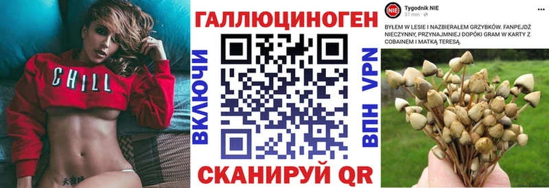 Галлюциногенные грибы мицелий  Моздок 