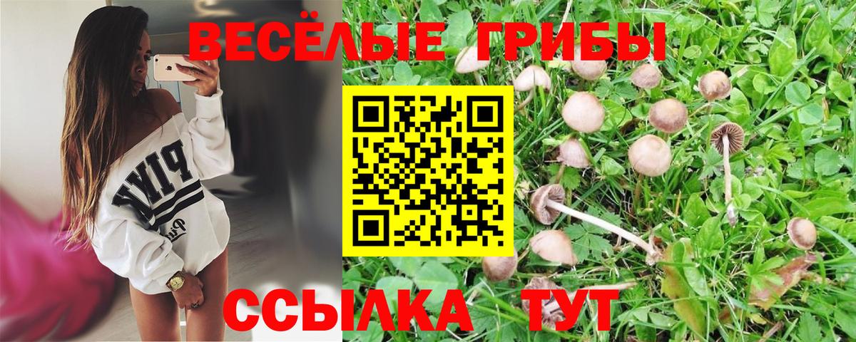Моздок  наркота  Вход с VPN  Псилоцибиновые грибы MAGIC MUSHROOMS 