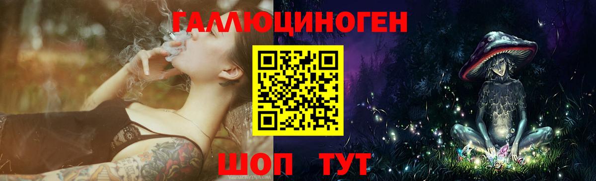 Псилоцибиновые грибы Cubensis Моздок
